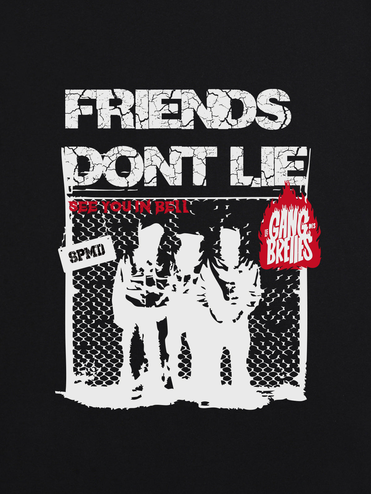 T-Shirt mit Original-Print „Friends Don’t Lie“