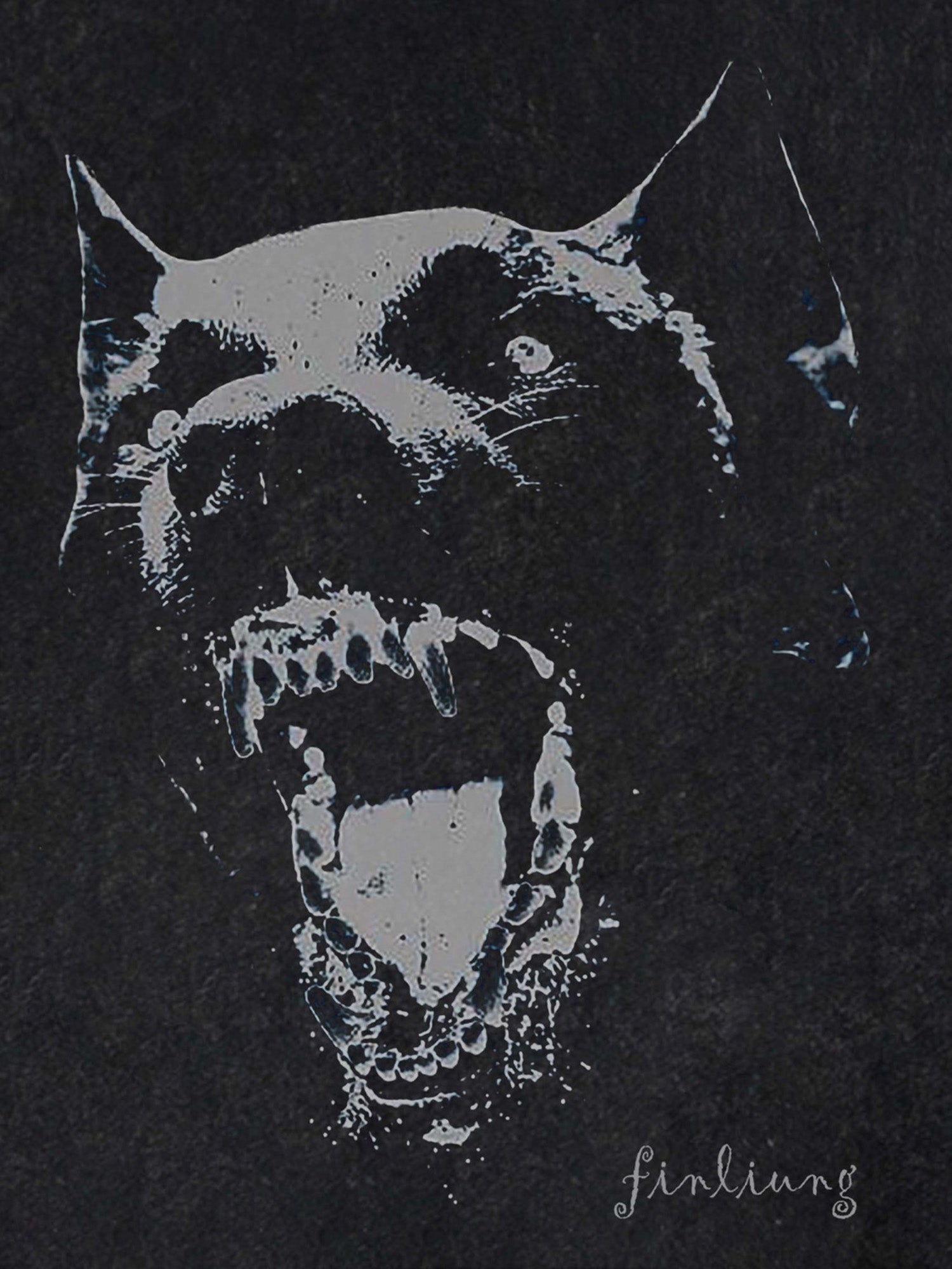 Thesupermade T-Shirt mit verwaschenem Dobermann-Print – 1856 
